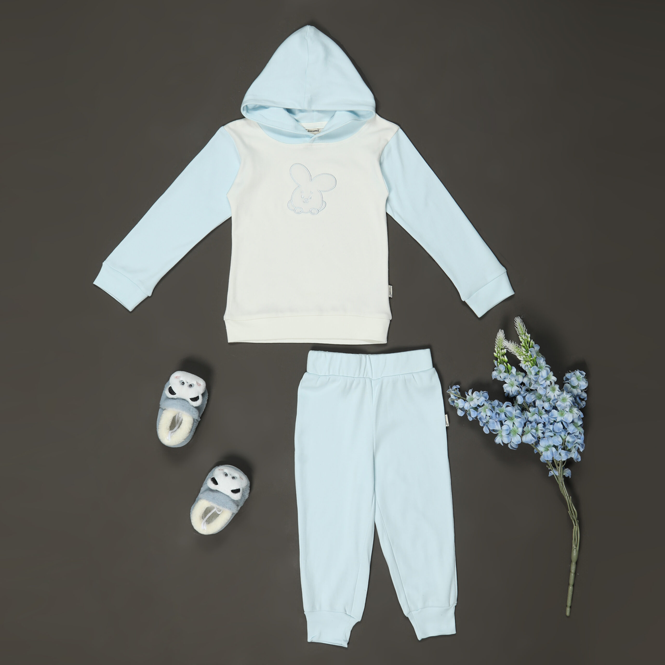 Organic Cotton Hoodie Joggers Set with applique work : Ice Melt - Image 2