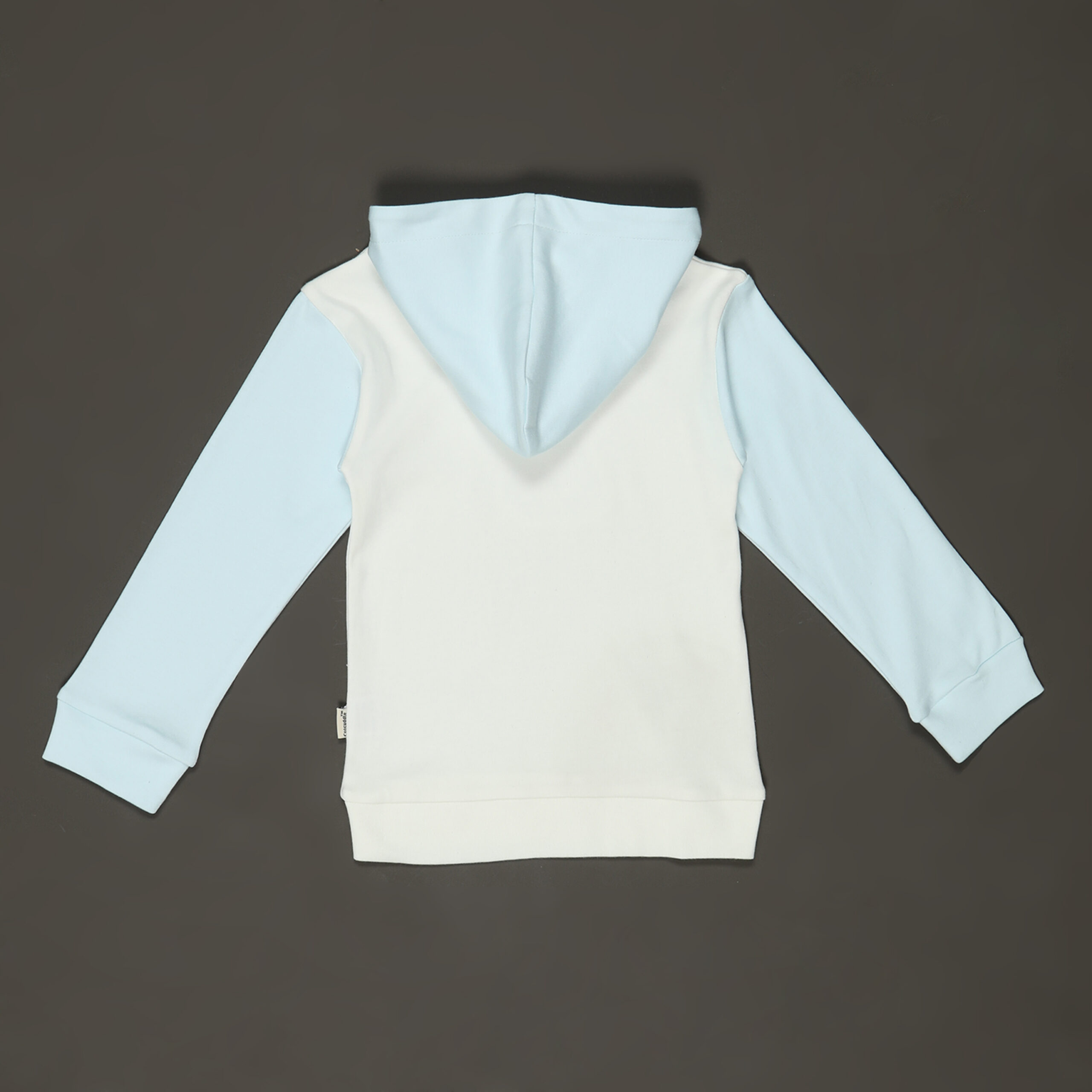 Organic Cotton Hoodie Joggers Set with applique work : Ice Melt - Image 4